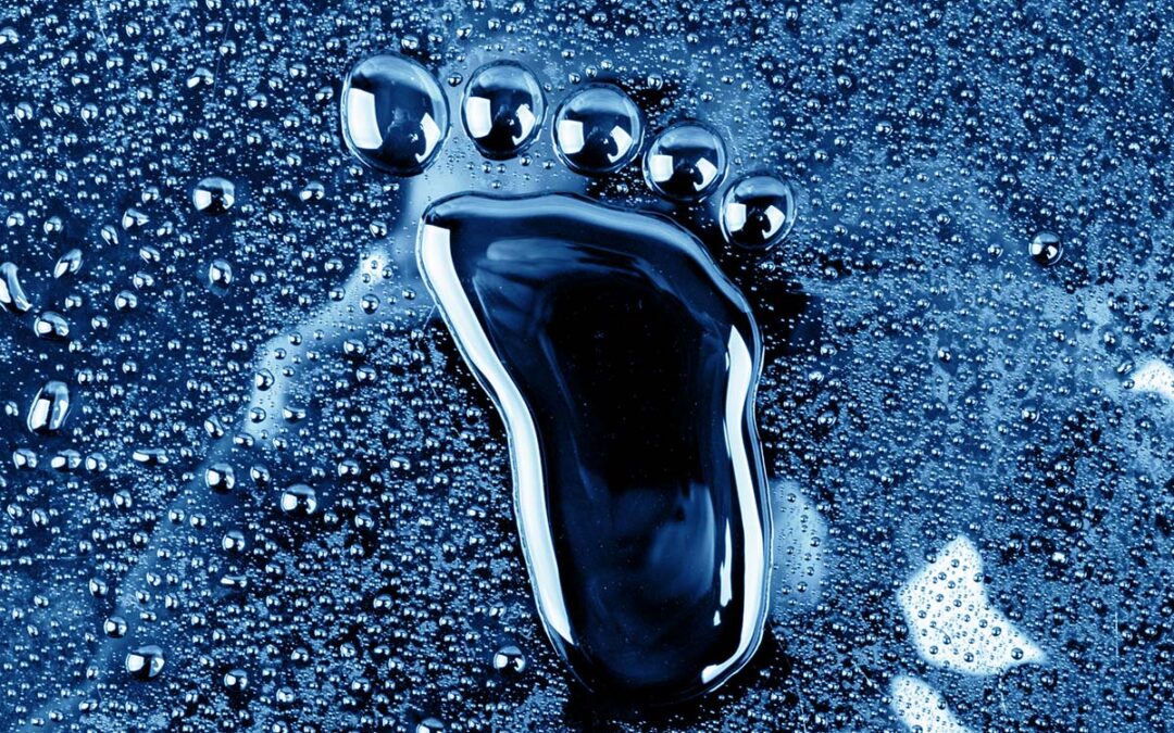 Qué es la huella del agua y cómo podemos reducirla