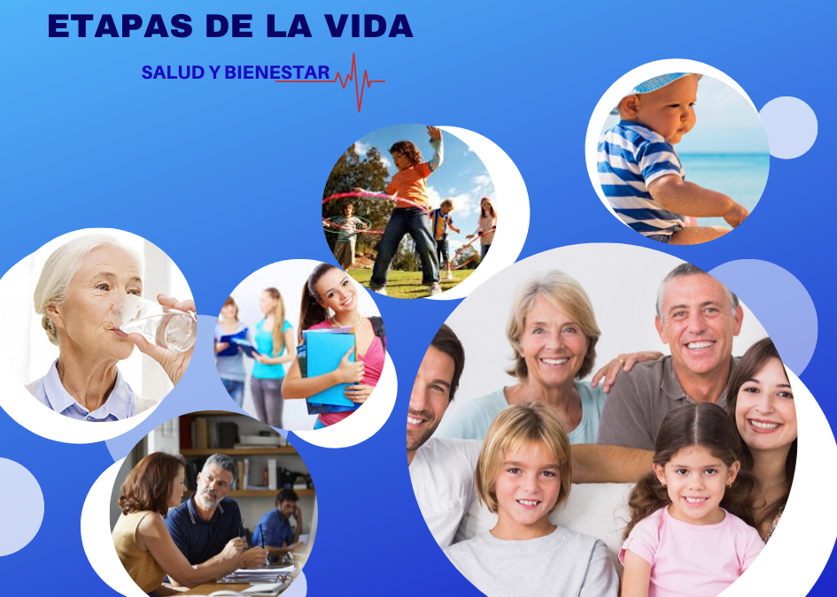 Hidratación en las diferentes etapas de la vida.